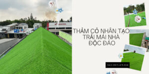 Thảm cỏ nhân tạo trải mái nhà