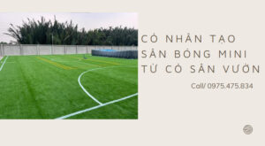 Cỏ nhân tạo sân bóng mini
