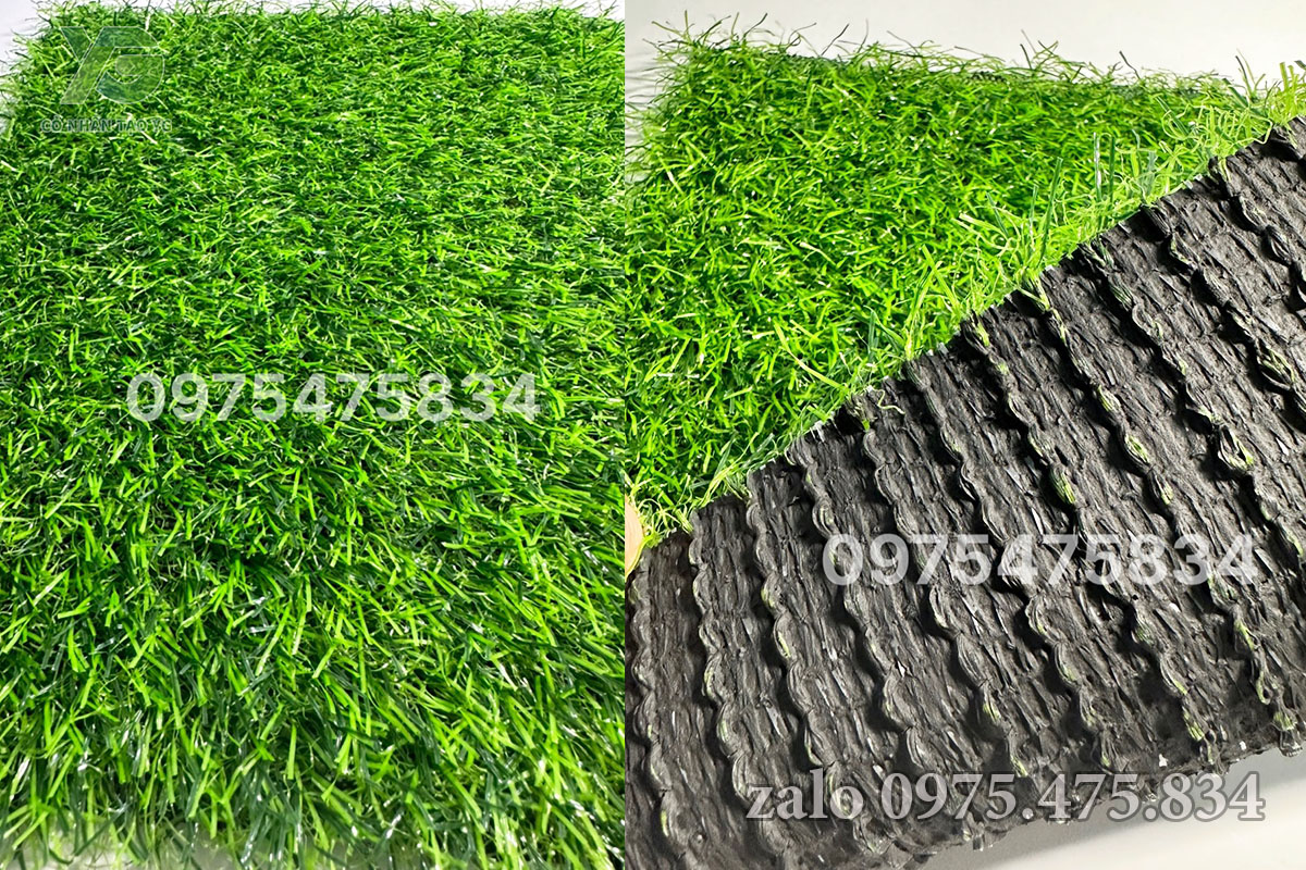 Cỏ nhân tạo 2cm