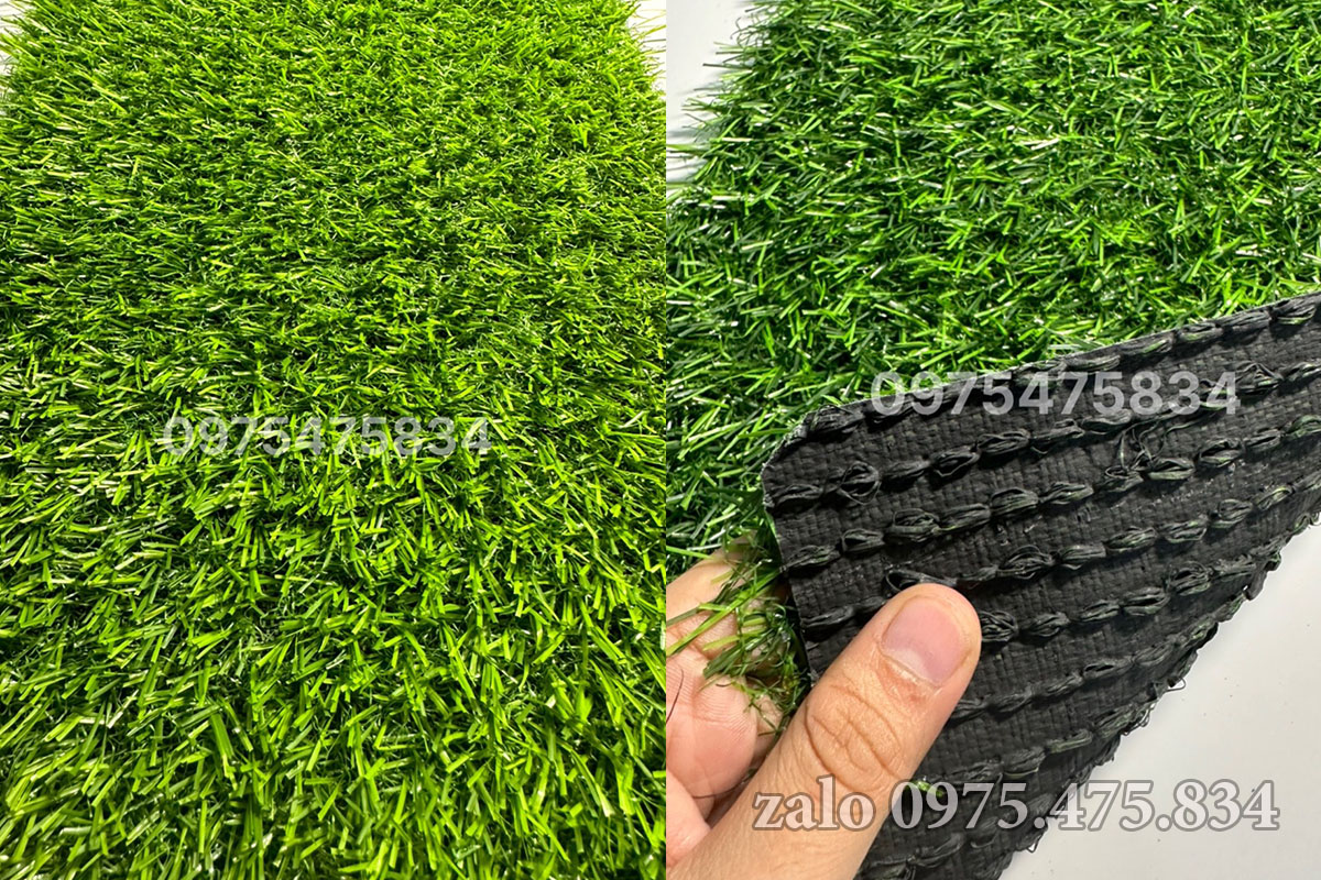 Cỏ nhân tạo 2cm