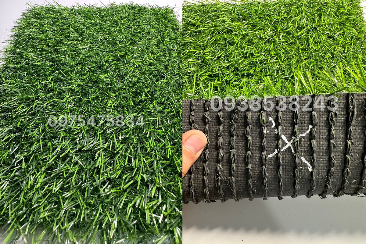 Cỏ nhân tạo 2cm