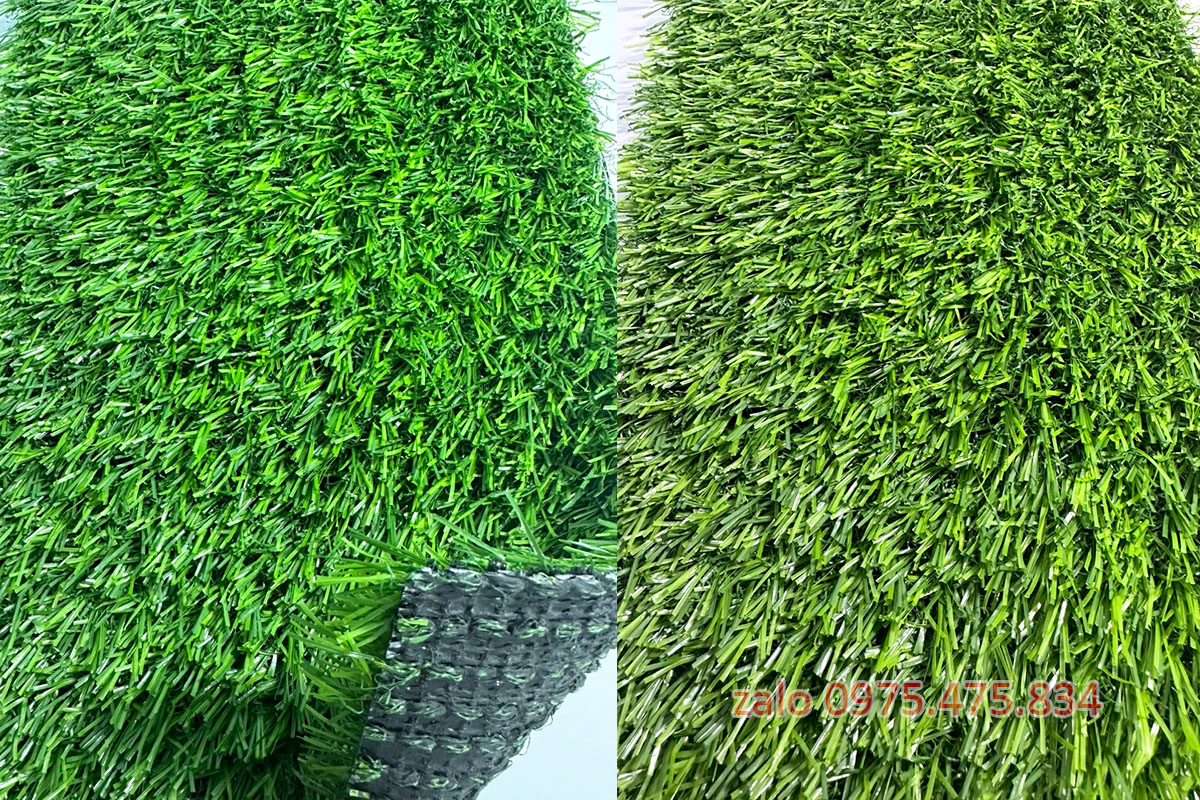 Cỏ nhân tạo trải sàn 2cm cao cấp