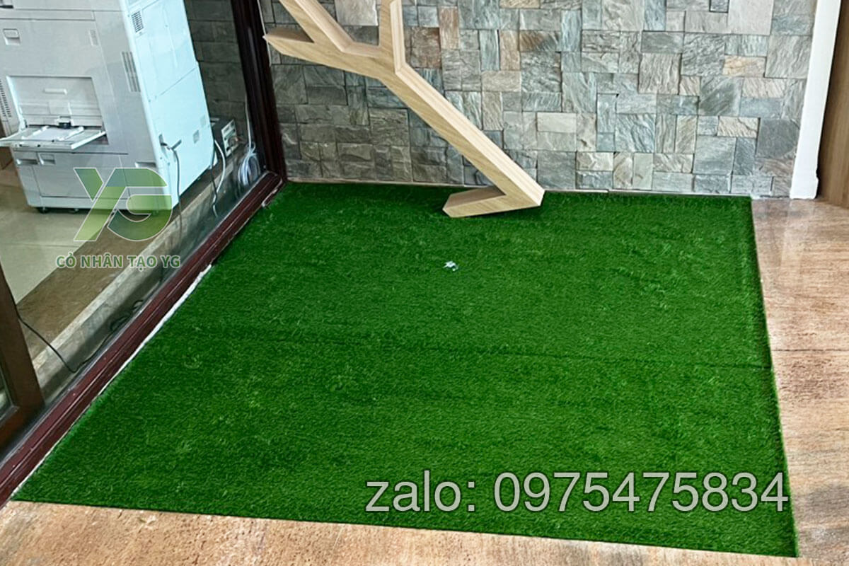 cỏ nhân tạo trải sân nhà