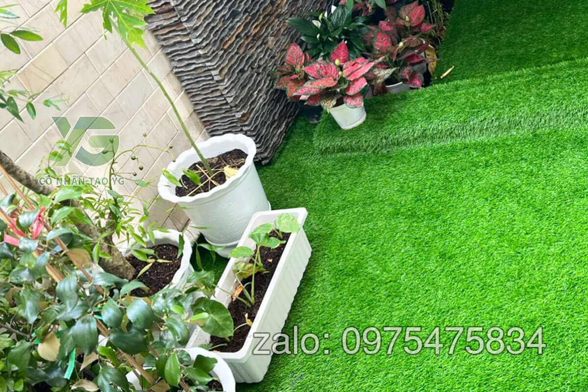 cỏ nhân tạo trải sân nhà