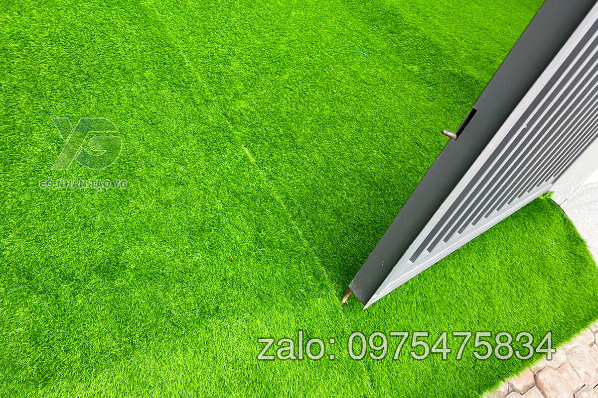cỏ nhân tạo trải sân nhà 