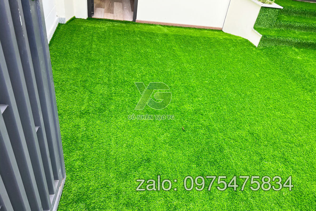 cỏ nhân tạo trải sân nhà