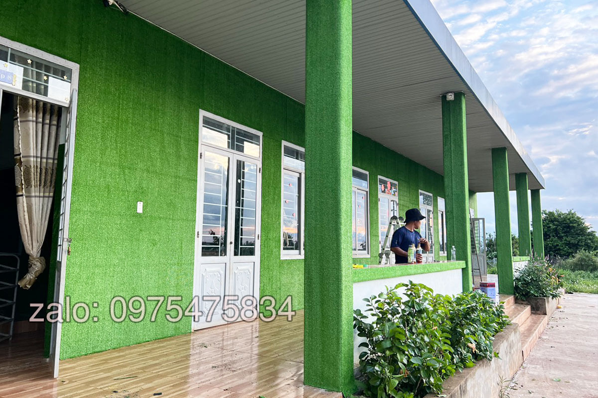 thảm cỏ nhân tạo dán tường