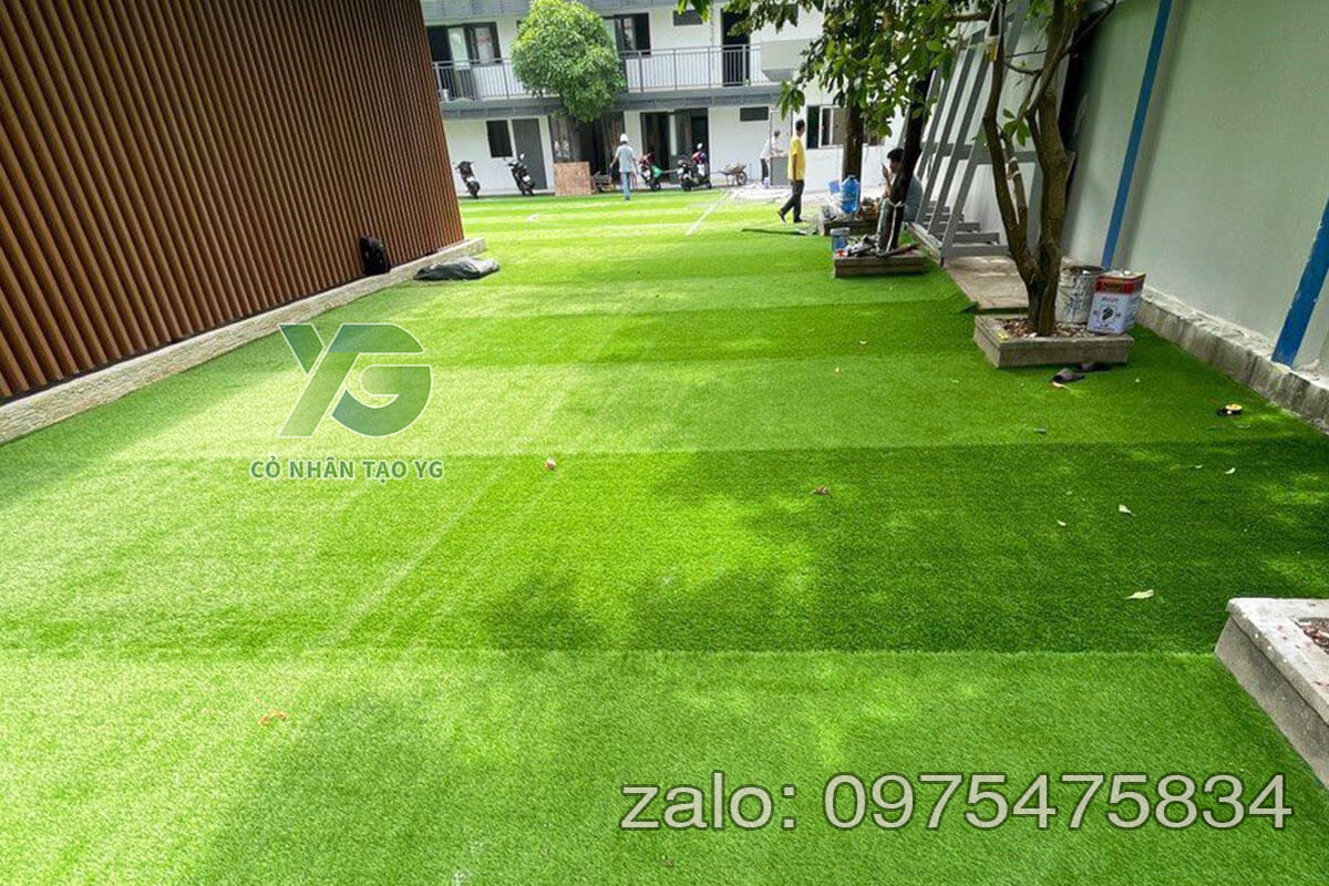 Cỏ nhân tạo trải trường mầm non