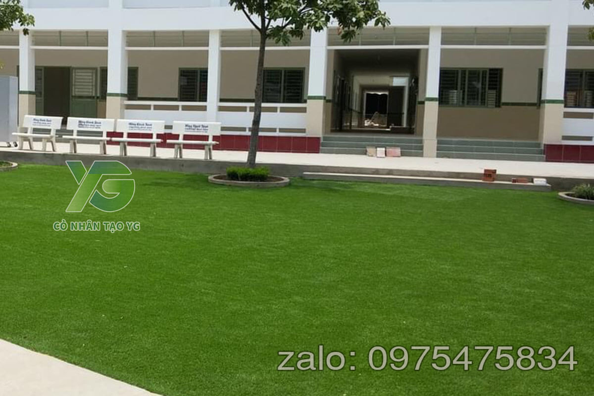 Cỏ nhân tạo trải trường mầm non