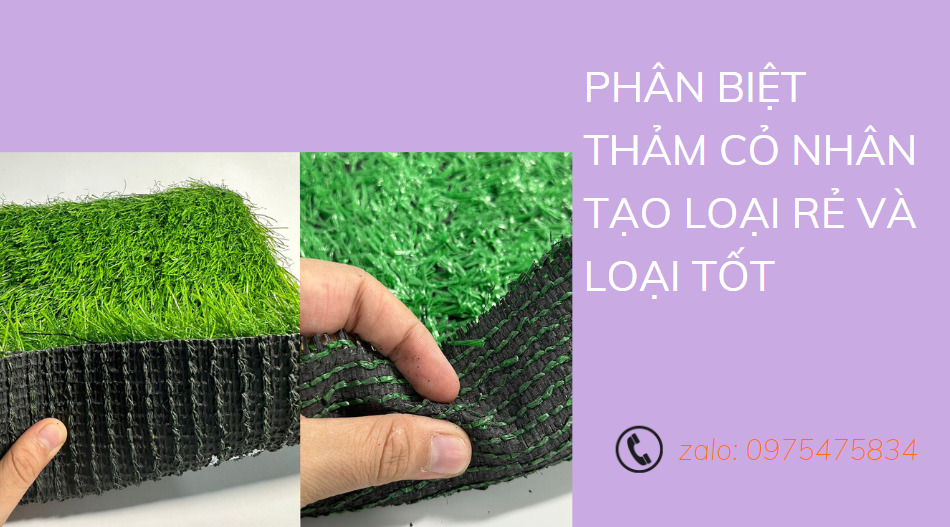 Phân biệt thảm cỏ nhân tạo loại rẻ và loại tốt