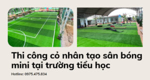 Cỏ nhân tạo sân bóng mini