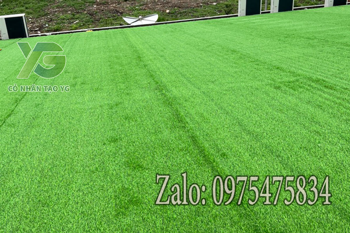 Thảm cỏ nhân tạo trải mái nhà chống ồn