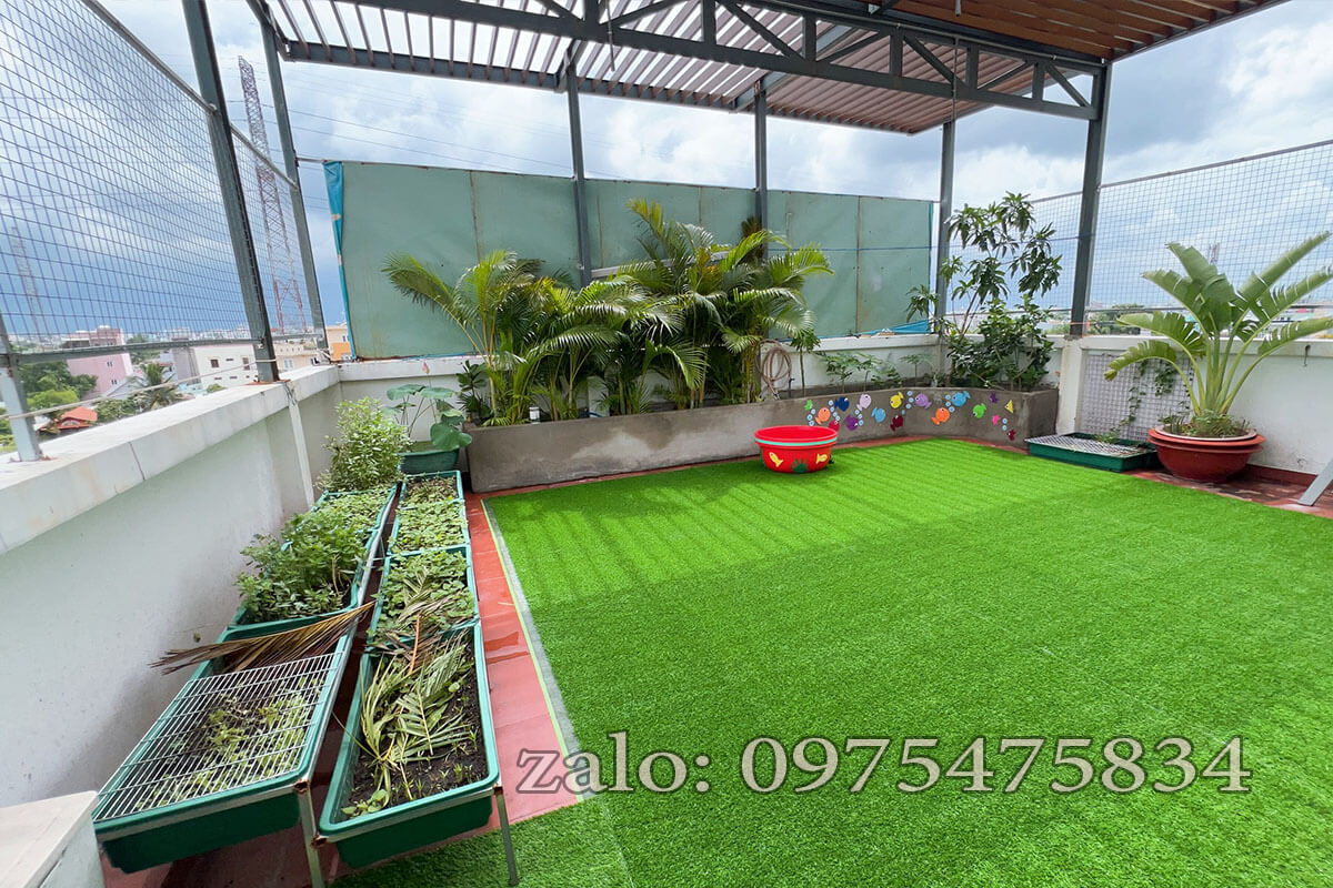 Cỏ nhân tạo trải sân thượng