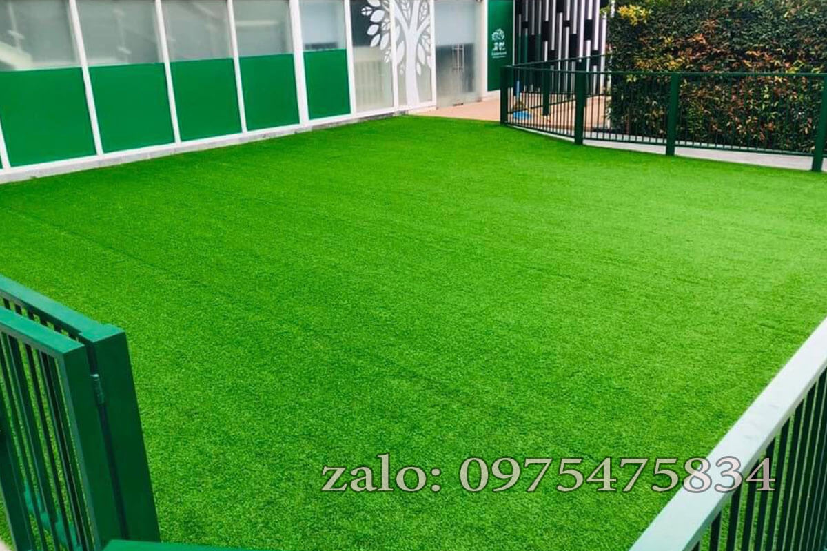 Cỏ nhân tạo trải sân thượng