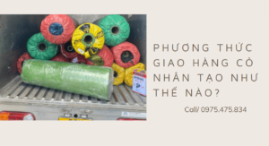 giao-hang-co-nhan-tao