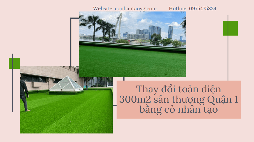 Cỏ nhân tạo sân thượng