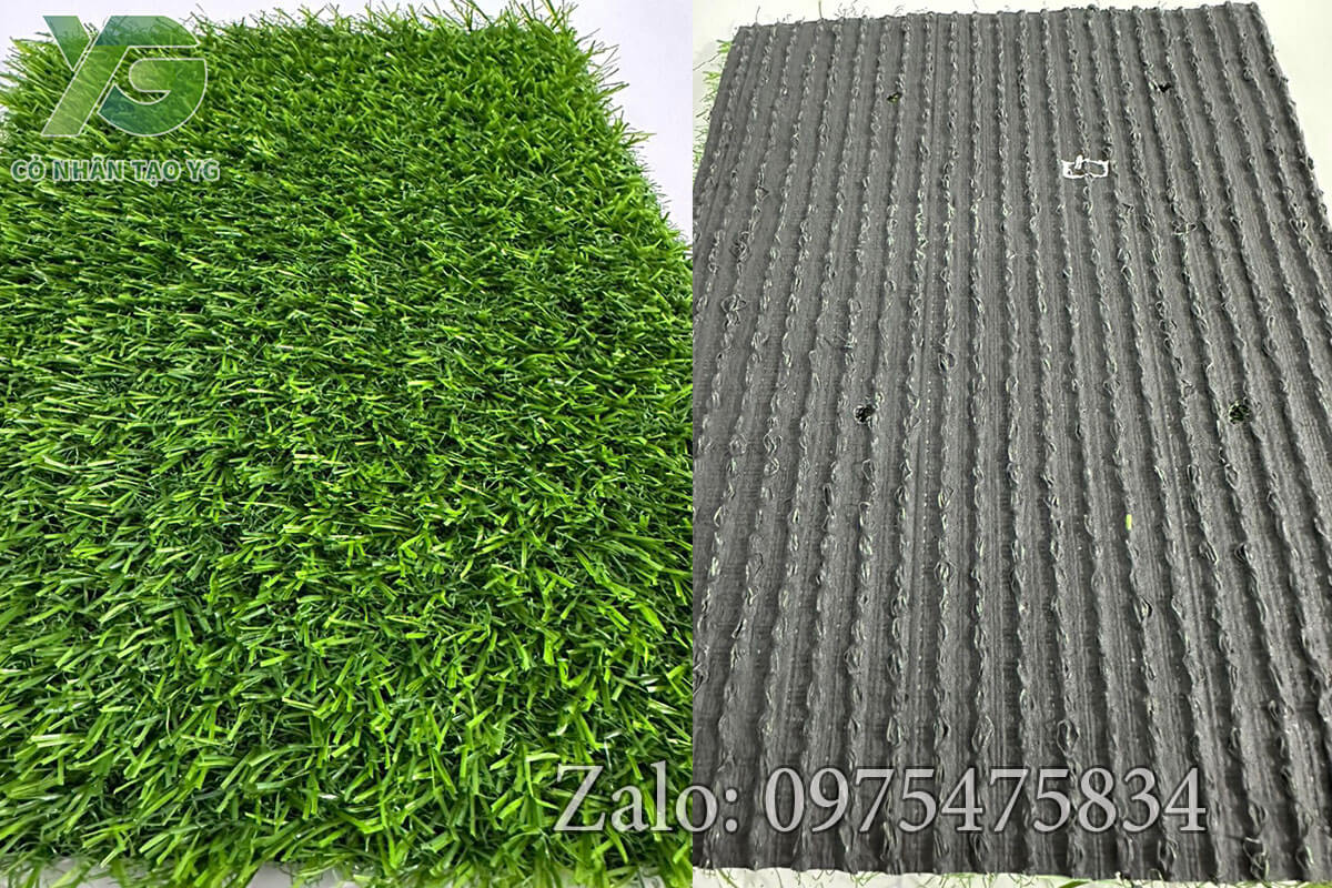 Thảm cỏ nhân tạo 2cm tốt đế CCgrass