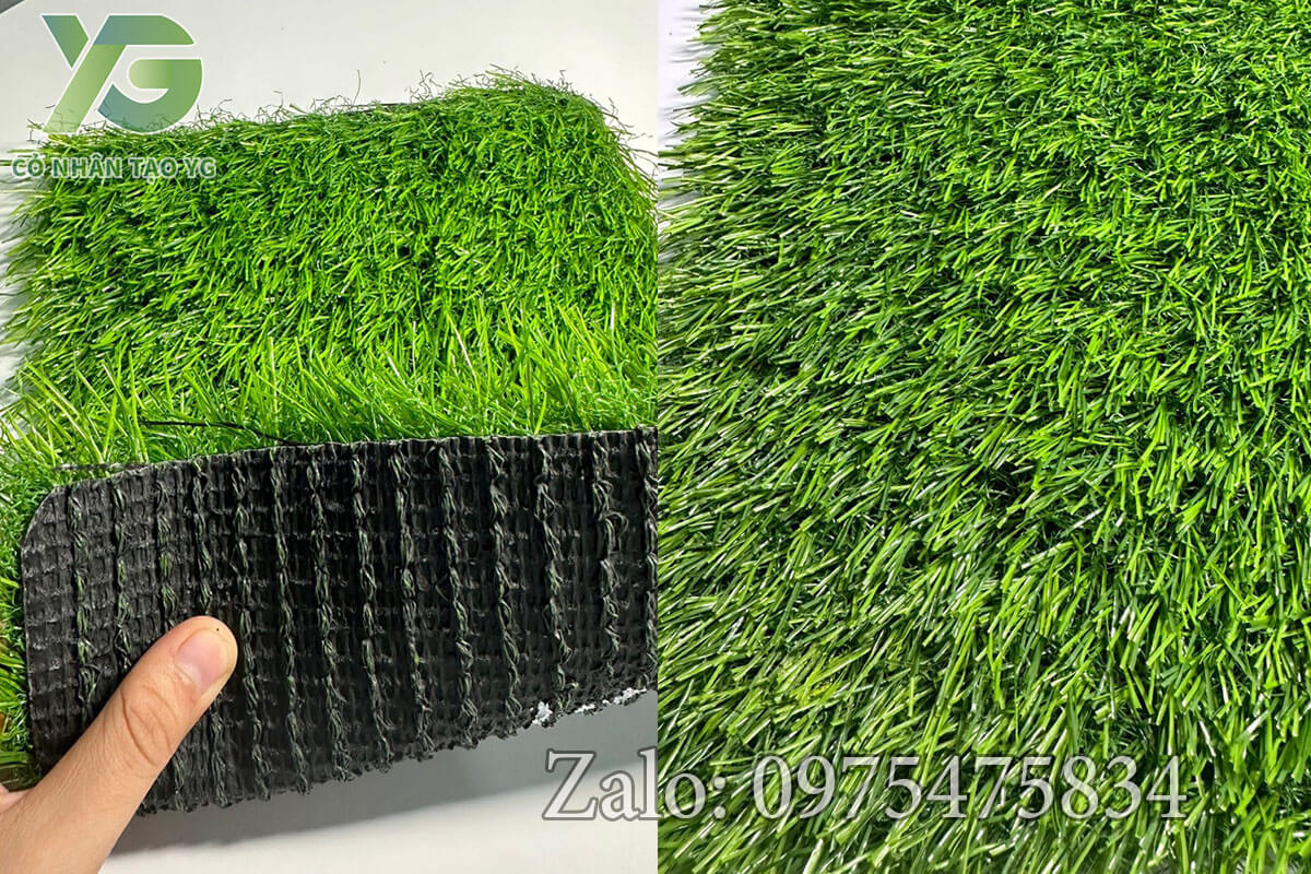 Thảm cỏ nhân tạo 3cm tốt đế ccgrass