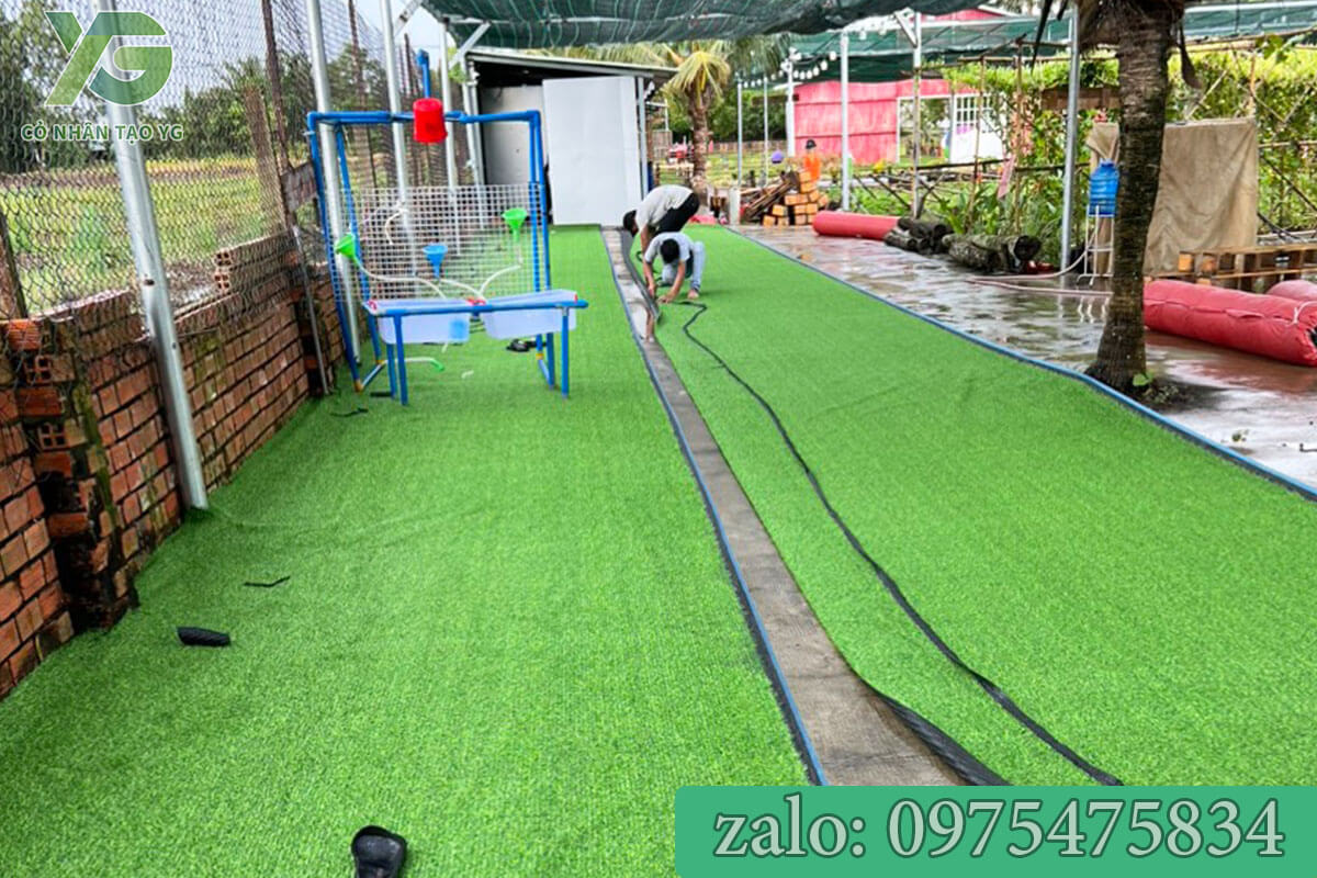 Cỏ nhân tạo loại rẻ