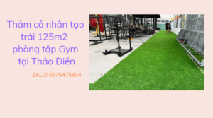 Thảm cỏ nhân tạo trải phòng tập gym