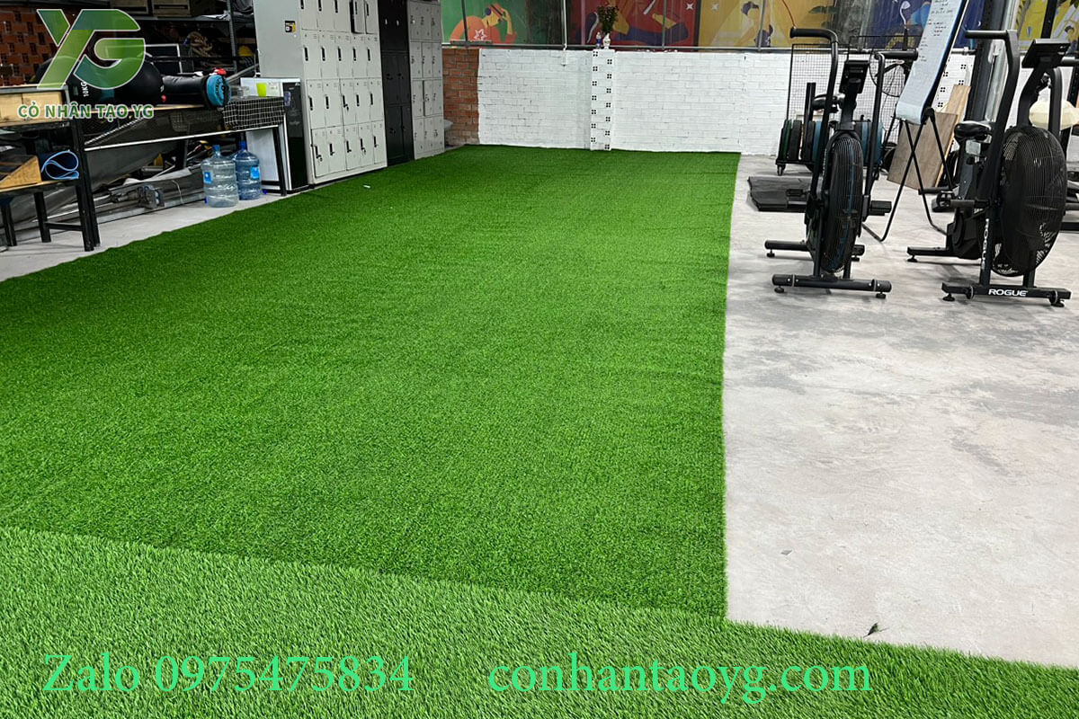 Thảm cỏ nhân tạo trải phòng tập Gym