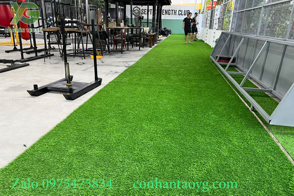 Thảm cỏ nhân tạo trải phòng tập Gym
