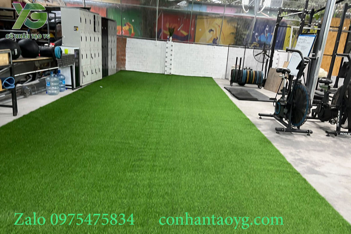 Thảm cỏ nhân tạo trải phòng tập Gym