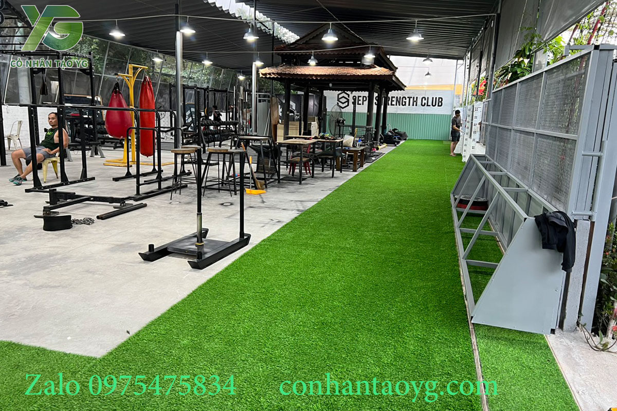 Thảm cỏ nhân tạo trải phòng tập Gym