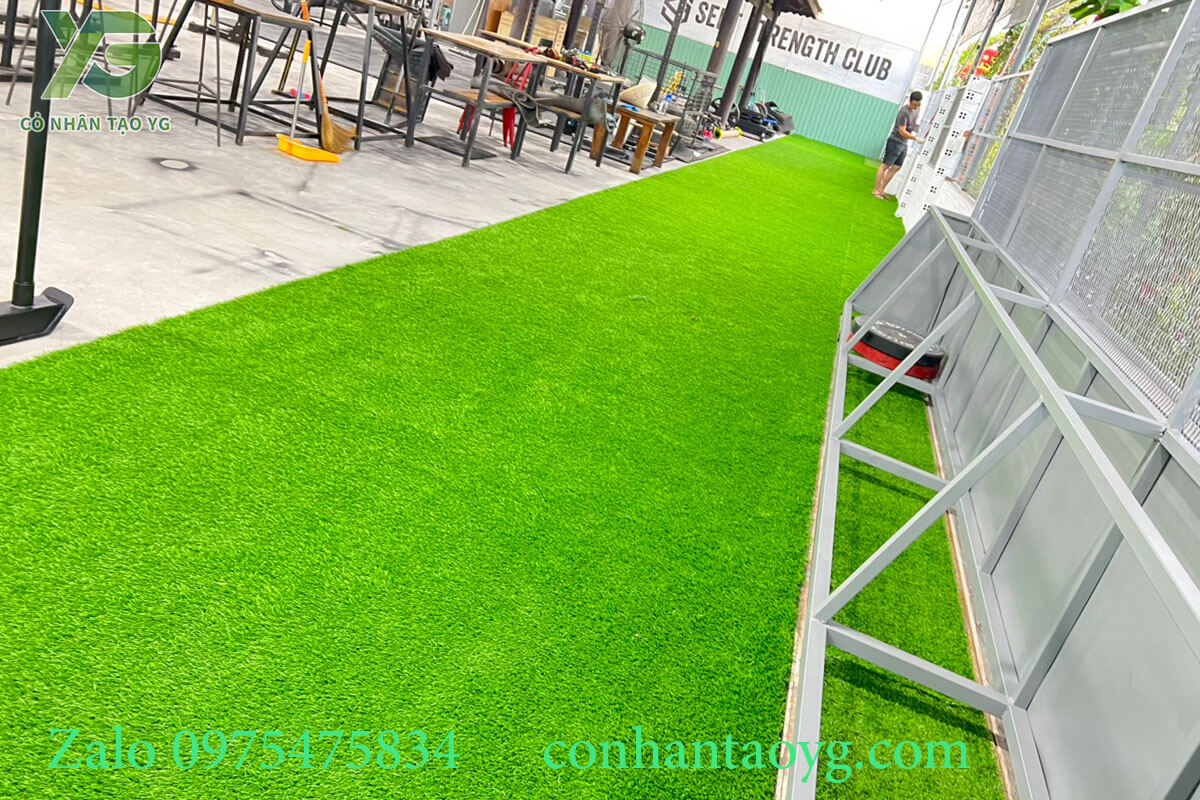 Thảm cỏ nhân tạo trải phòng tập Gym