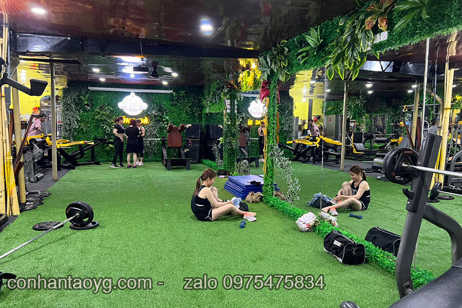 Cỏ nhân tạo trải phòng tập Gym