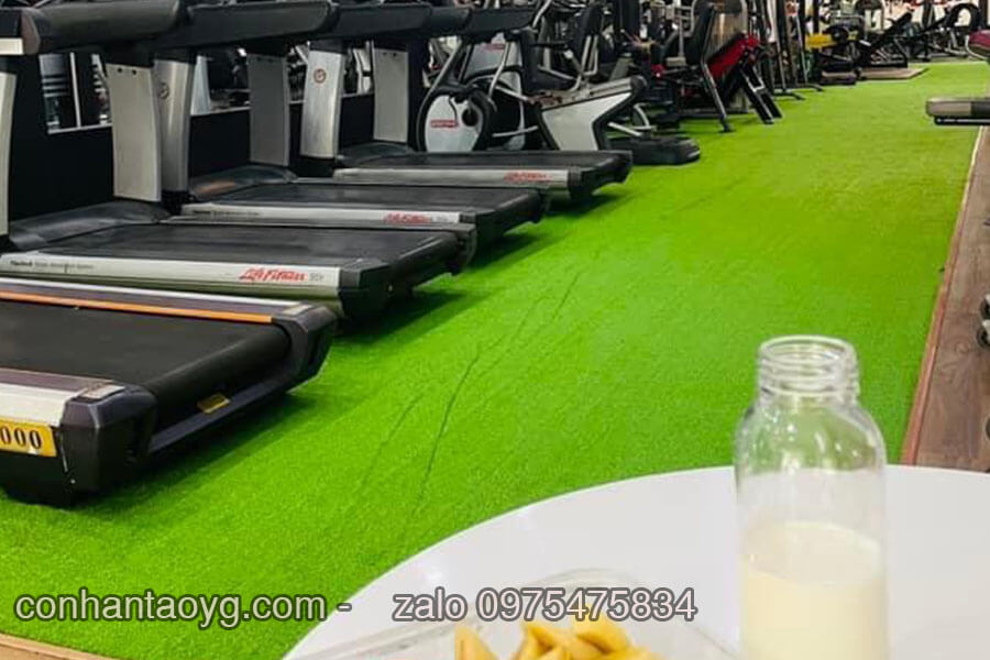 Thảm cỏ nhân tạo trải phòng Gym