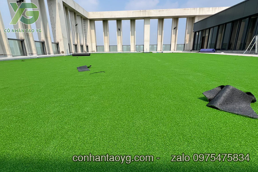 Cỏ Golf sân thượng