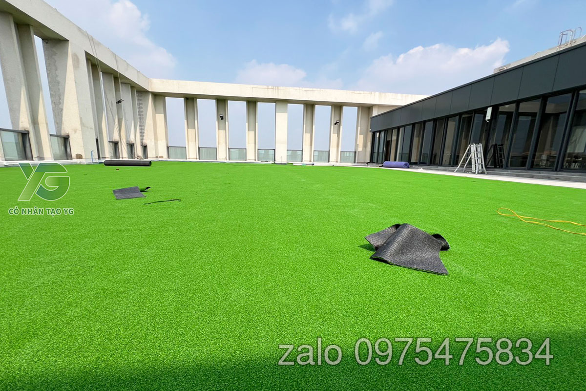 Cỏ Golf sân thượng