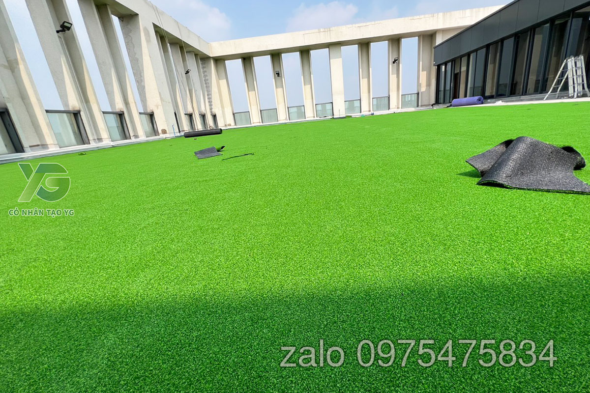 Cỏ Golf sân thượng