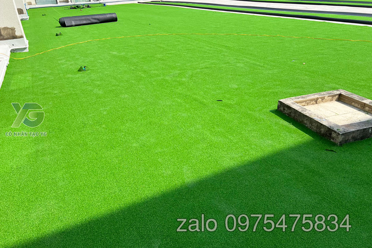 Cỏ Golf sân thượng