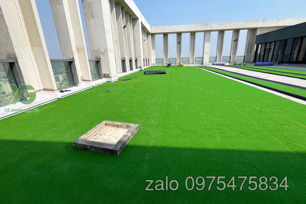 Cỏ Golf sân thượng