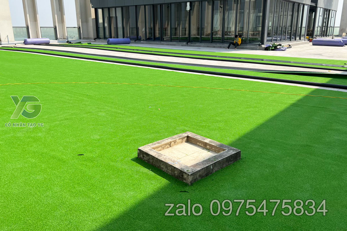 Cỏ Golf sân thượng