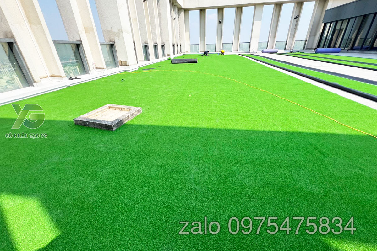 Cỏ Golf sân thượng