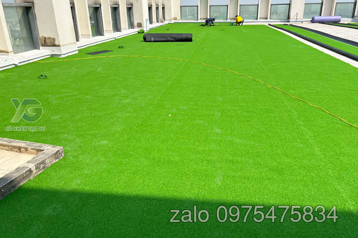 Cỏ Golf sân thượng