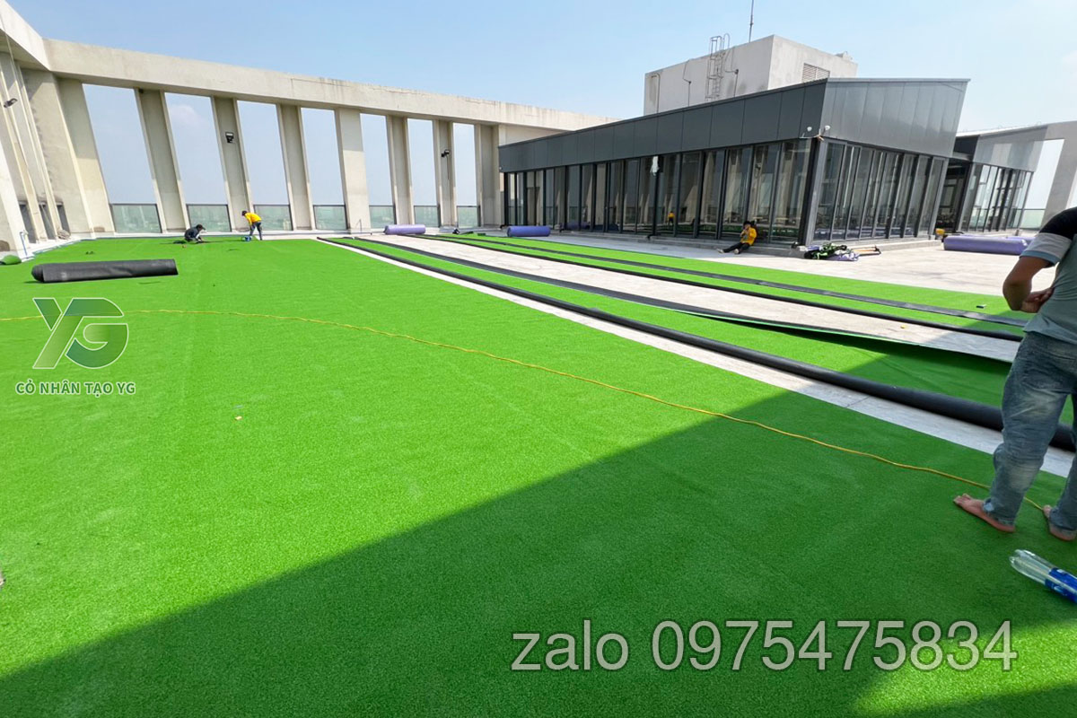 Cỏ Golf sân thượng