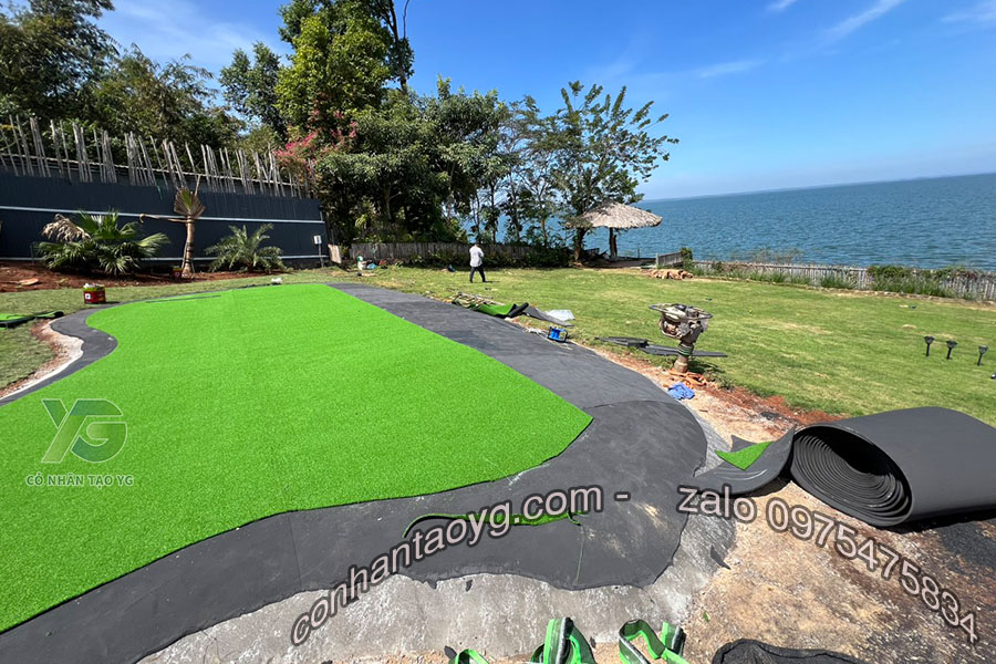 Cỏ Golf nhân tạo