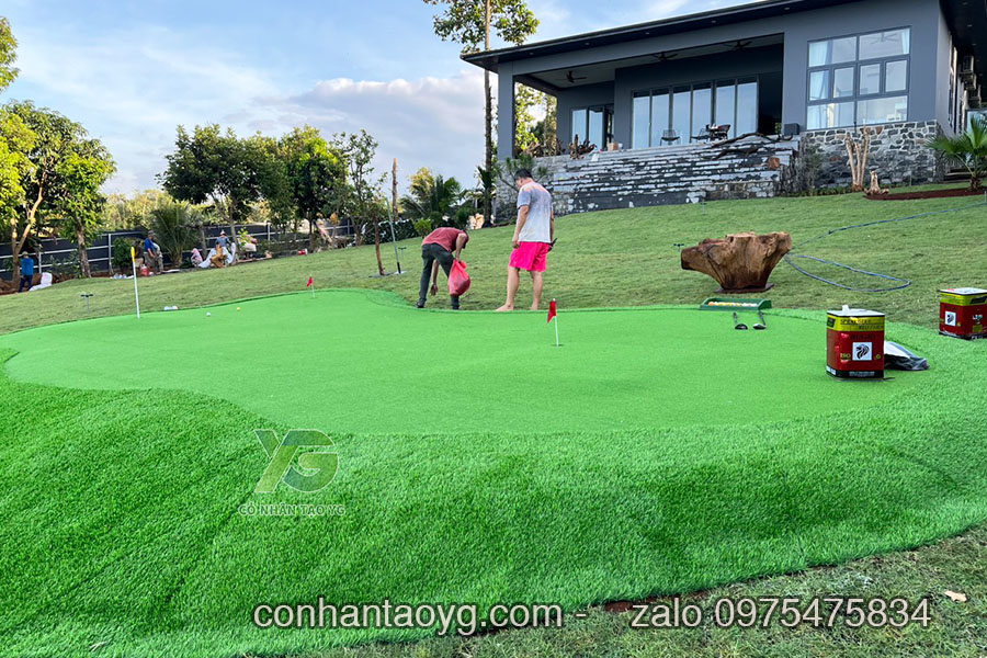Cỏ Golf nhân tạo 