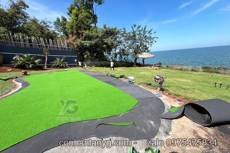 Cỏ Golf nhân tạo 