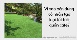 Cỏ nhân tạo trải quán cafe