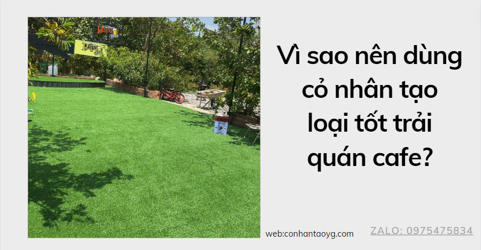 Cỏ nhân tạo trải quán cafe