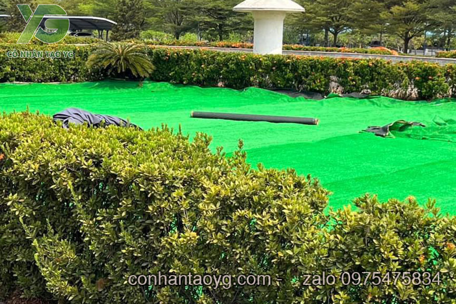 Thảm cỏ nhân tạo giá rẻ trải khu công nghiệp