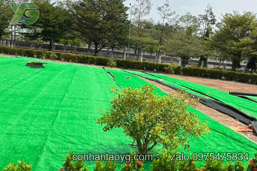 Thảm cỏ nhân tạo giá rẻ trải khu công nghiệp