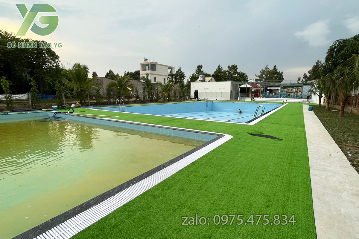 Cỏ nhân tạo hồ bơi 
