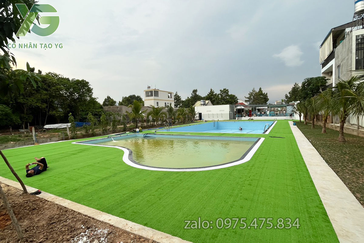 Cỏ nhân tạo hồ bơi 